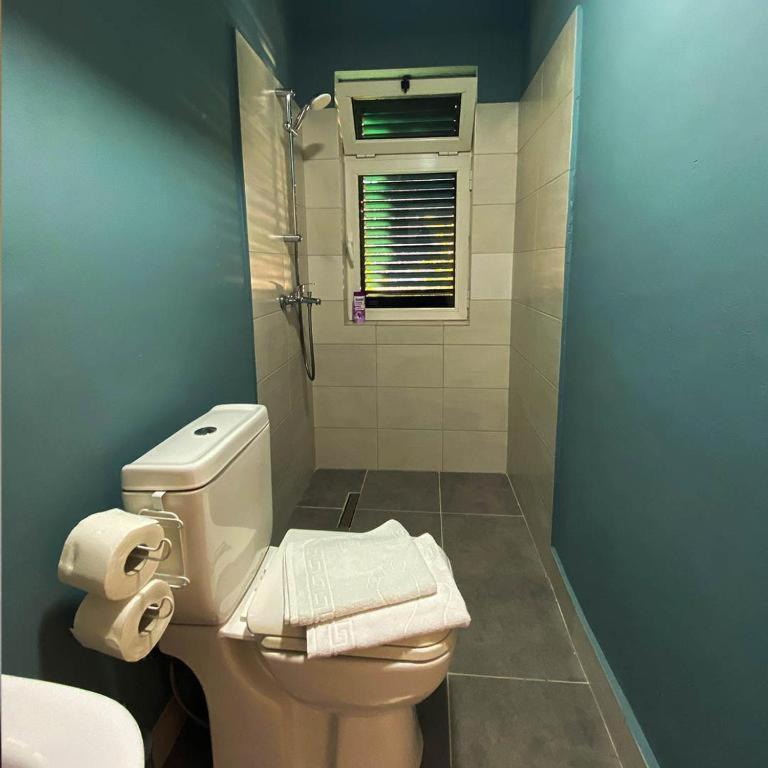 Agroturizem Hotel Vila Franceze Koman Exterior foto